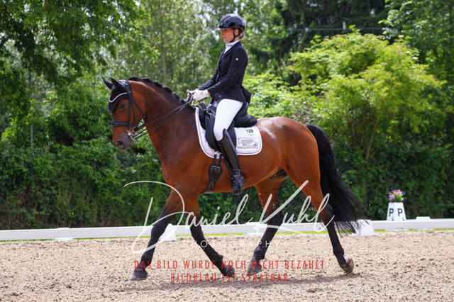 DKP41077 | Turnierfotos kaufen im Webshop von Daniel Kuhl Photography – entdecke professionelle Reitsportfotos aus Turnieren & Events. Hochwertige Turnierbilder online bestellen & sichern. Jetzt Fotos von Reitsportturnieren kaufen!