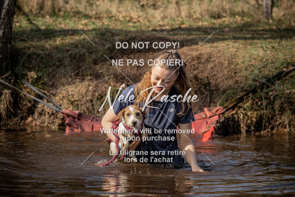 nelerasche_FS1330-1400_248 | nelerasche