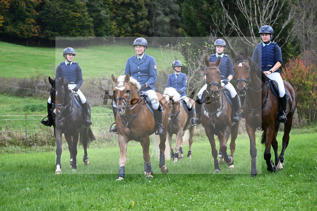 41240268 | hf-fotografie - Realisiert mit Pictrs.com