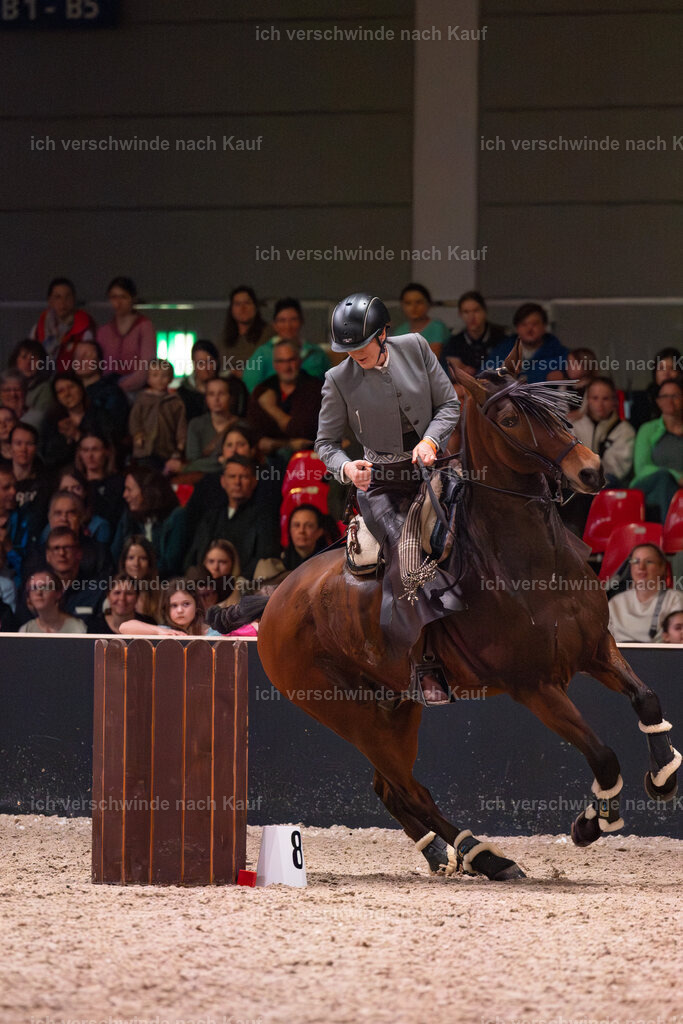 JoseraCup-187 | working equitationturnier fotograf videograf stoibphotography marixx film working equitation deutschland reitsport turnierfotografie eventfotografie equestrian events