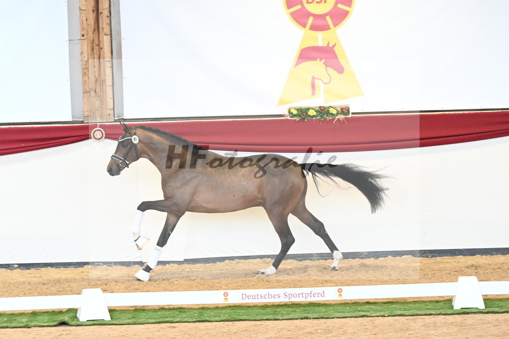 Kat.-Nr. 81 v. Vivino_Freisel_2241067 | hf-fotografie - Realisiert mit Pictrs.com