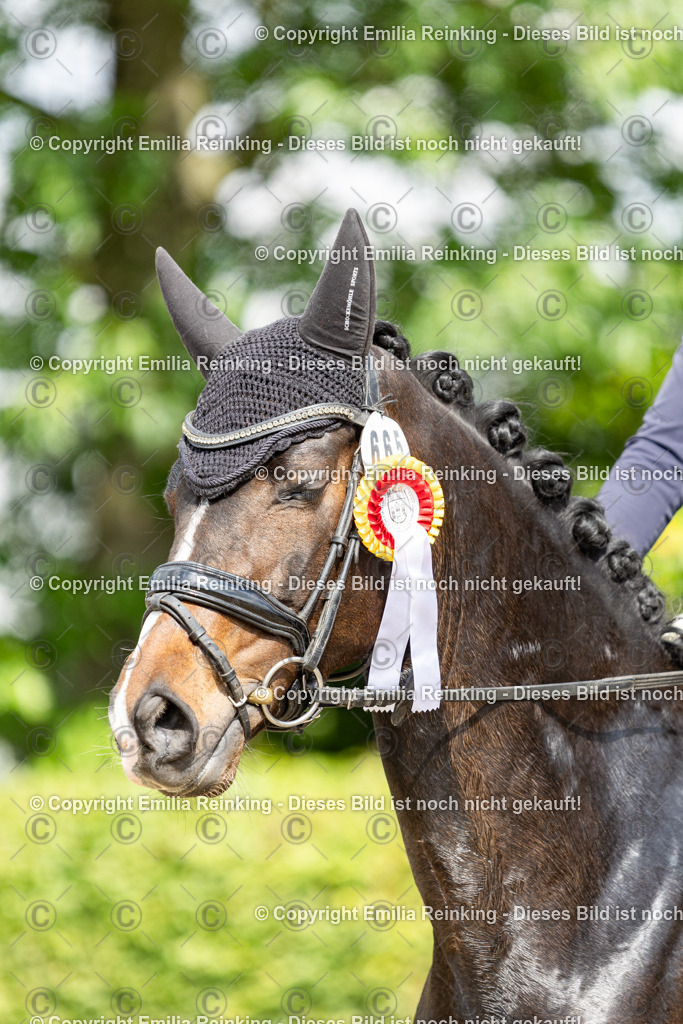 CL5A6335 | Emilia Reinking Fotografie - Realisiert mit Pictrs.com