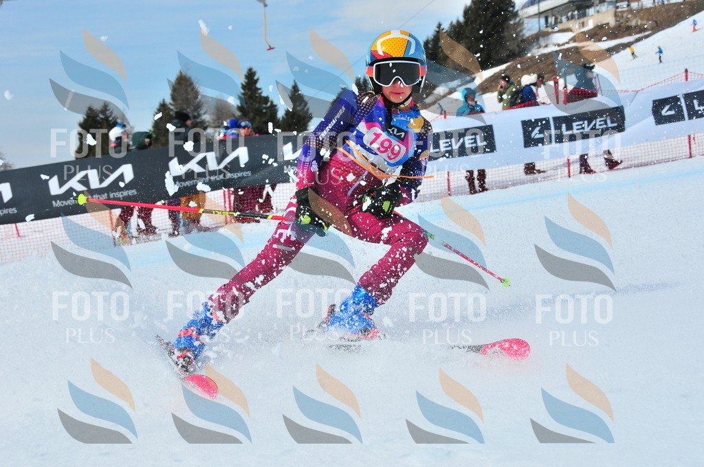 DSC_5557 | holidayphoto