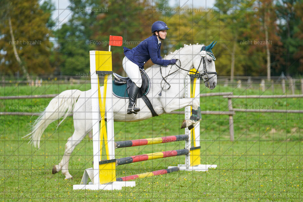 20230917-FAH09180 | Landsberg am Lech, 2023, Kaufbeuren, Kempten, Allgäu, Turnierfotografen Bayern, Fotoagentur Herrmann, Turnierbilder, Reitsport Fotos, Pferdefotograf, Augsburg, Bad Tölz, Dachau, Karlsfeld, Memmingen, Buchloe, Schwabmünchen