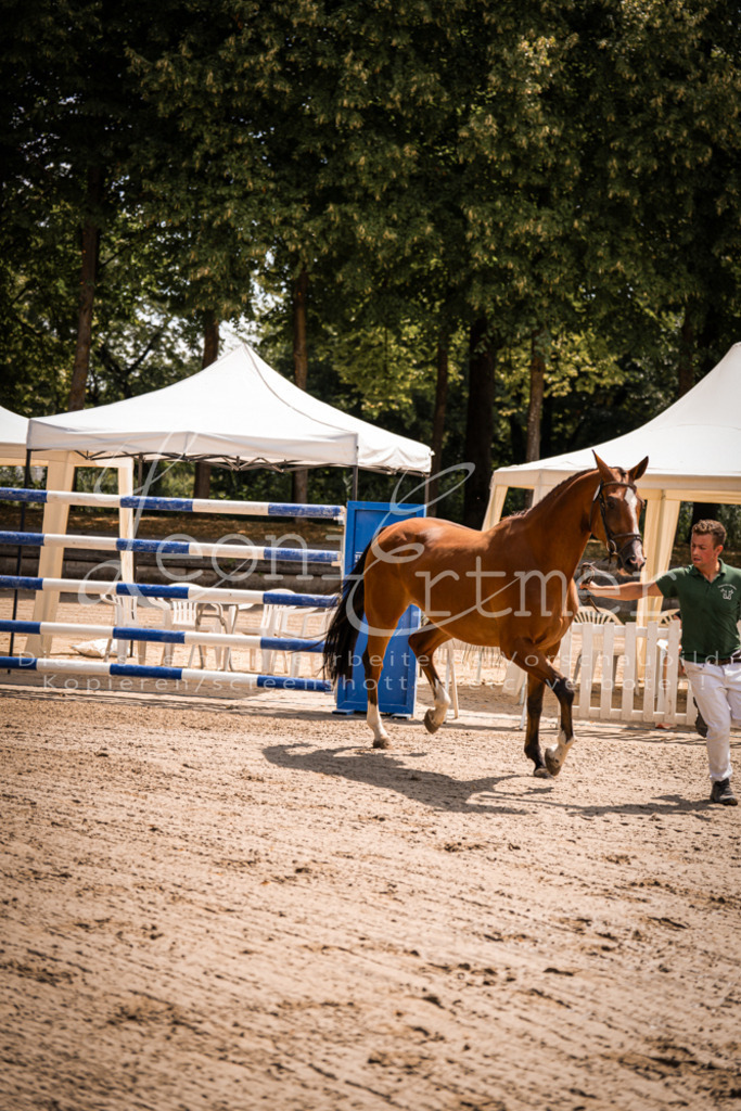 1.Fr00110 | Leoni Ertmer Photography - Realisiert mit Pictrs.com