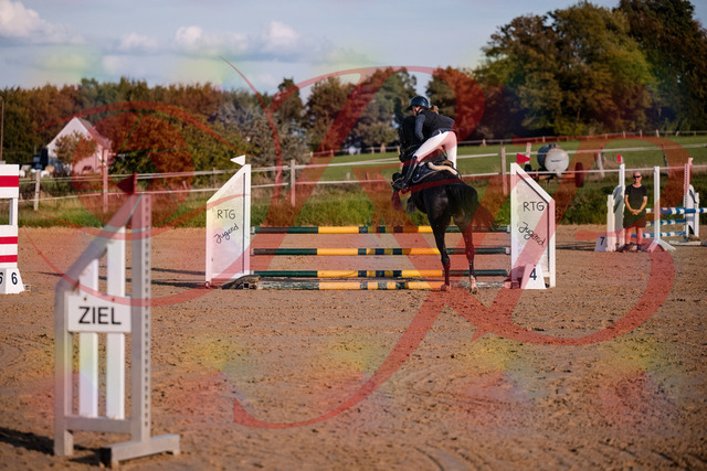 2026_10_03_Siefer-Hof_171540_Z81_13058444 | Professionelle Reitsport-, Turnier- und Eventfotografie von Robert Broda. Galerien mit ausgewählten und bearbeiteten Bildern direkt online ansehen und bestellen.