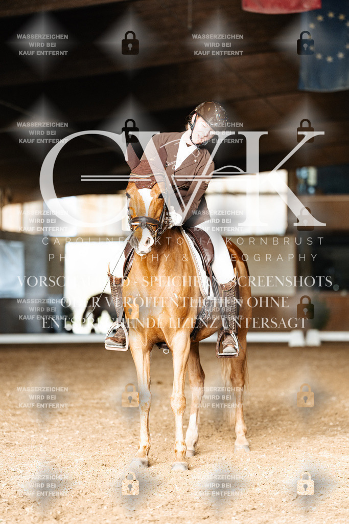 CK902965 | Turnierfotografie Pferdefotografie Trier Rheinland-Pfalz Pferdesport Reitsport Tierfotografie Sportfotografie Pferdevideo Pferdevideografie Equestrianvideography equestrianphotography  - Realisiert mit Pictrs.com