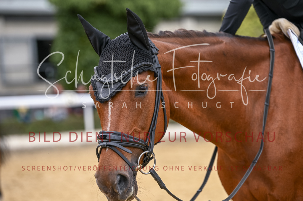 Schugtsche-Aluta25-43.EDressur -39 | Schugtsche Fotografie - Realizzato con Pictrs.com