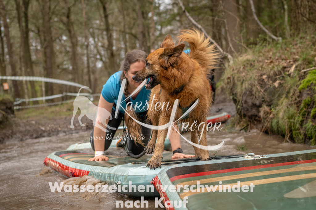 1136_ZZ93591 | kk-dogfotos