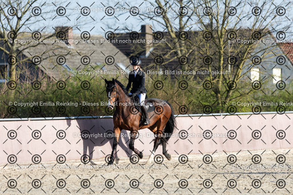 CL5A6184 | Emilia Reinking Fotografie - Realisiert mit Pictrs.com