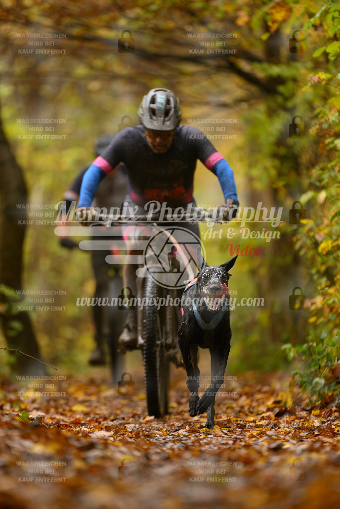 MompixPhotography_CD7S_DI_Bike-35 | mompixphotography