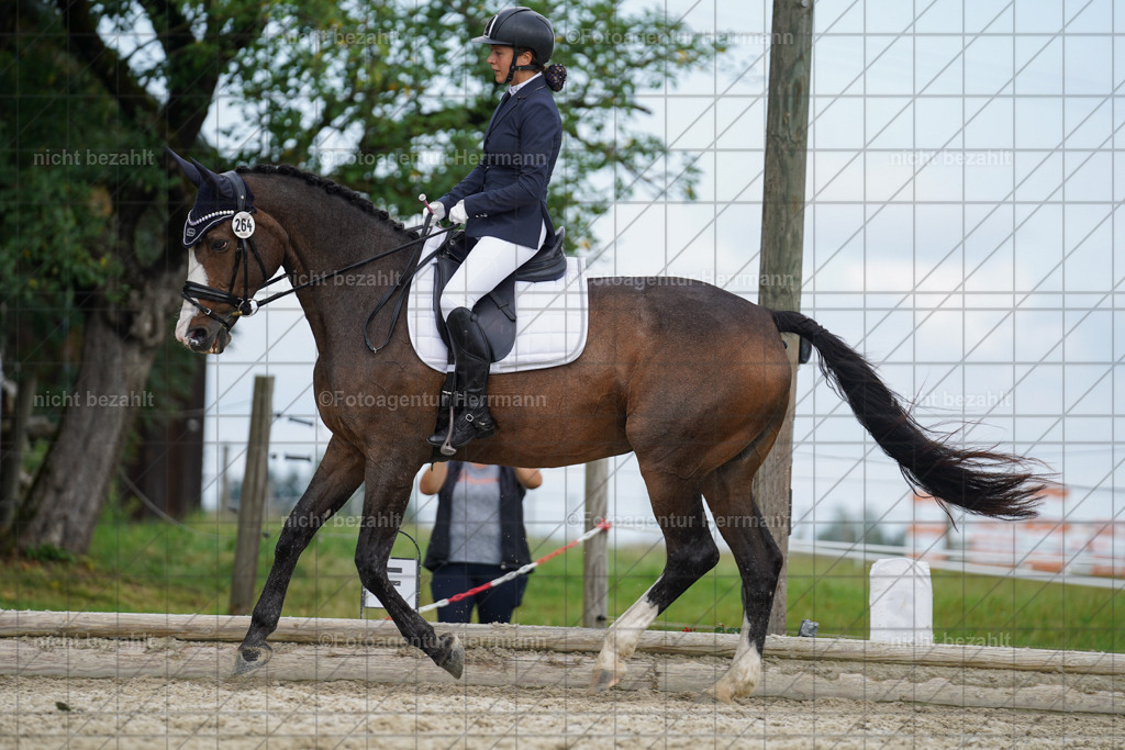20230826-FAH05189 | Forstinning, 2023, Dressurturnier, Turniersportbilder, Turnierfotografen Bayern, Fotoagentur Herrmann, Reitsportfotografie, Turnierbilder
