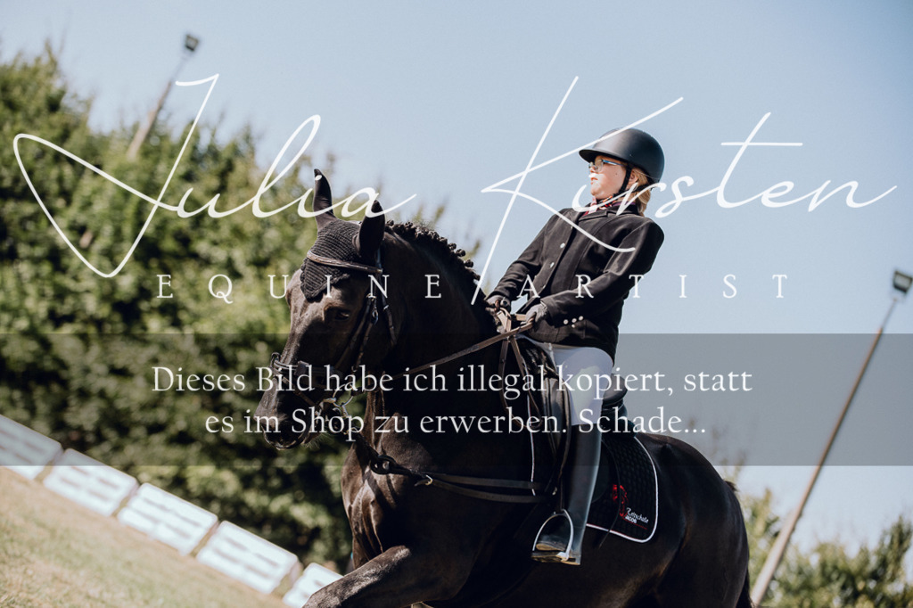 DSC_6916 | Pferde- und Turnierfotografie in Westsachsen. Pferdeportraits, Auftragszeichnungen und intuitive Kunst.