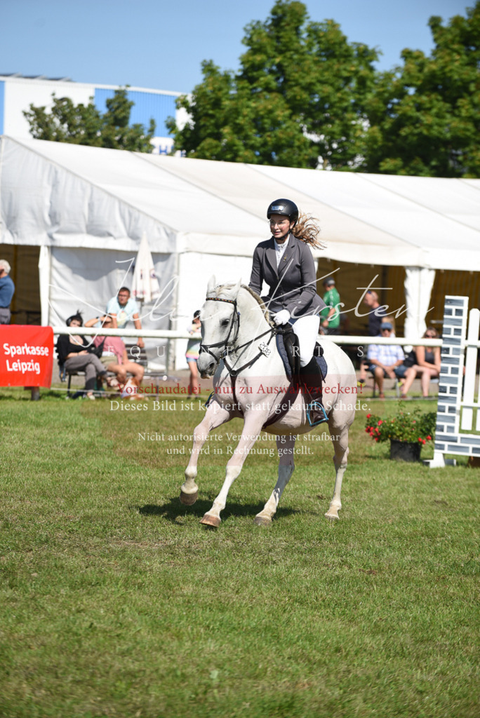 DSC_9149 | Pferde- und Turnierfotografie in Westsachsen. Pferdeportraits, Auftragszeichnungen und intuitive Kunst.