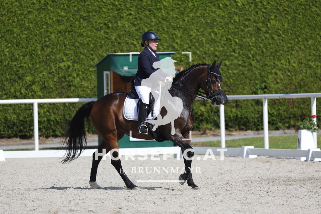 0P6A3252 | Willkommen bei Brunnmayr - Design & Fotografie – Ihrem Spezialisten für Reitturniere und Pferdeveranstaltungen in Oberösterreich, Salzburg und Bayern! Seit über 17 Jahren sind wir leidenschaftlich dabei.