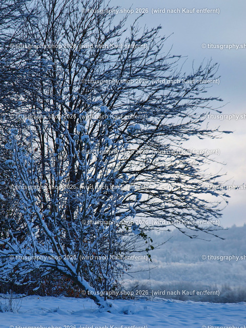 phototitusgraphy Winterimpressionen-Edition 001 | Fotokunstarbeit aus der INSTAGRAM-Gallerie auf titusgraphy.eu - Realisiert mit Pictrs.com