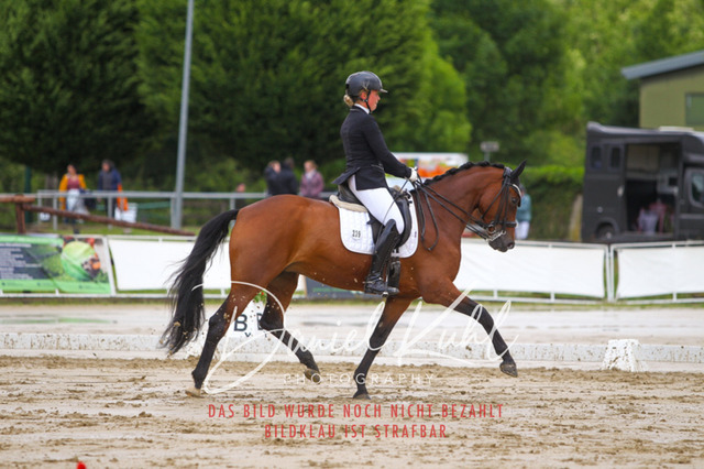 DKP40641 | Turniersportfotografie; Pferdefotografie; Dressurfotografie