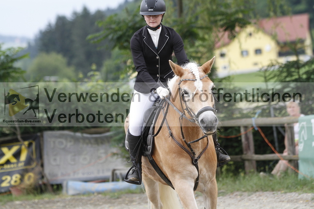 _MG_6569 | equestrian-live-com