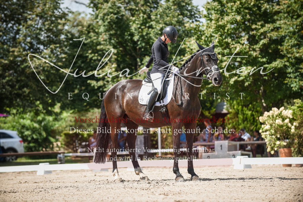 DSC_9078 | Pferde- und Turnierfotografie in Westsachsen. Pferdeportraits, Auftragszeichnungen und intuitive Kunst.