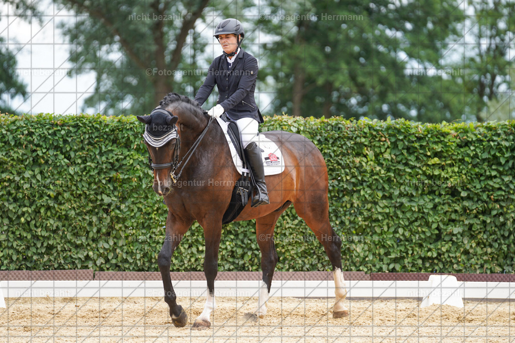 20240630-FAH02041 | Turnierbilder Schwabmünchen, Dressurbilder, Springreitturnier, Reitsportbilder, Turnierfotografen Bayern, Turnierfotograf