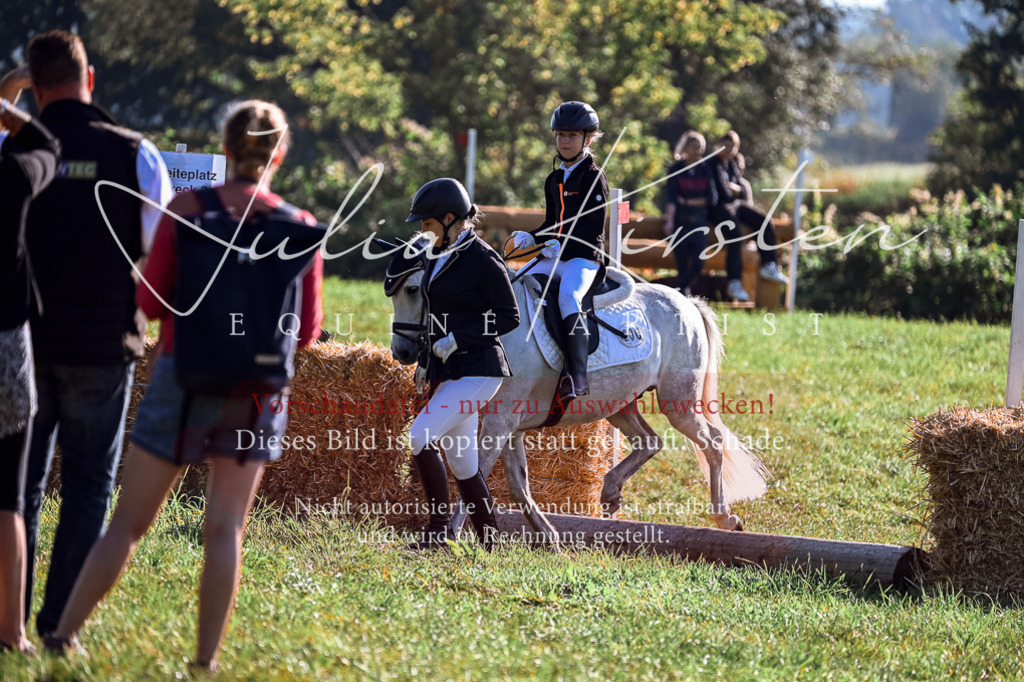 DSC_0437 | Pferde- und Turnierfotografie in Westsachsen. Pferdeportraits, Auftragszeichnungen und intuitive Kunst.
