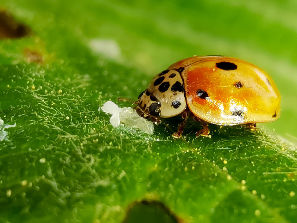 PSX_20230601_225121 | mtkfoto_ - Realisiert mit Pictrs.com