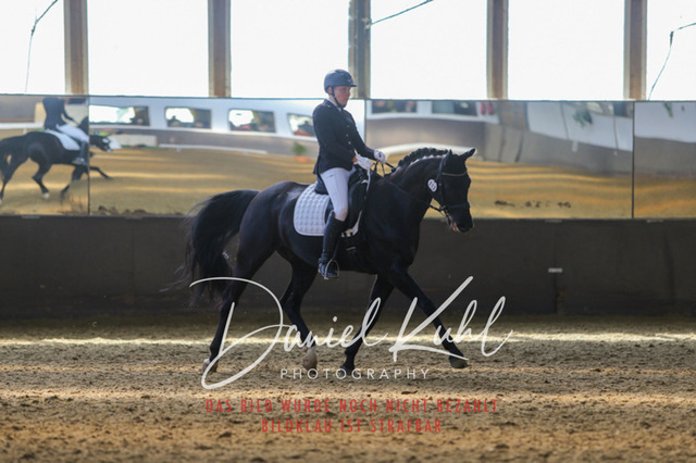 IMG_2498 | Turniersportfotografie; Pferdefotografie; Dressurfotografie