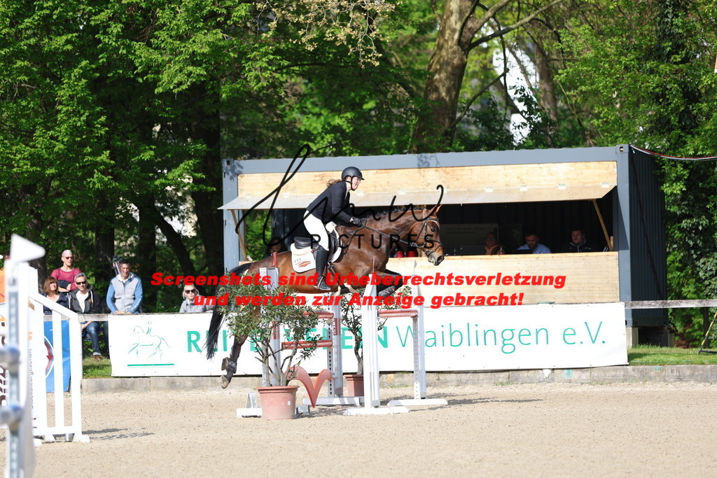 A40A2656 | lmwpictures - Realisiert mit Pictrs.com