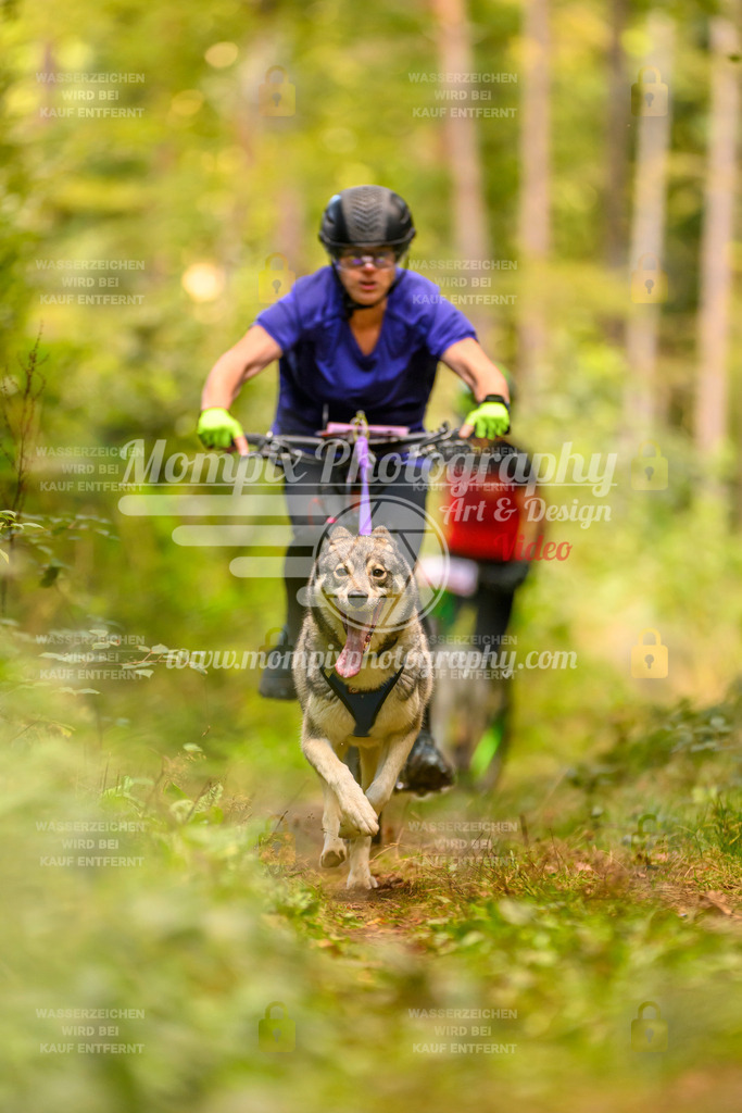 MompixPhotography_Yens2025_B2-107 | PayLife
