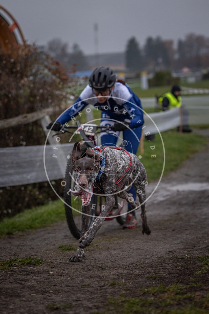 CaniXpix_0L8A0560 | Hundefotografie, Tierfotograf, Pfotenfotografie, Fotoshooting Hund, Hunde Portrait, Hundesport, Hundeportraits, Heideshooting, Hunde, Sportfotograf, Hundefotograf, Turnierhundsport, THS,  - Realisiert mit Pictrs.com