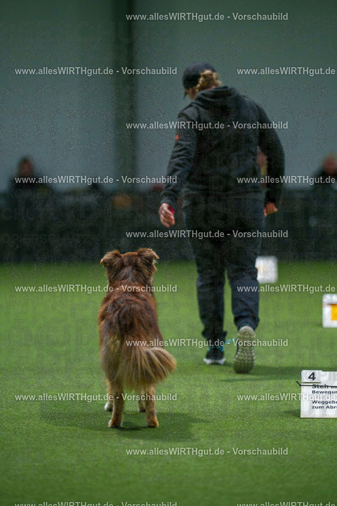 7R507229 | Professionelle Tierfotografie in Mönchengladbach von Daniel Wirth (allesWIRTHgut). Liebevolle & natürliche Bilder von Hunden & Katzen für unvergessliche Erinnerungen.