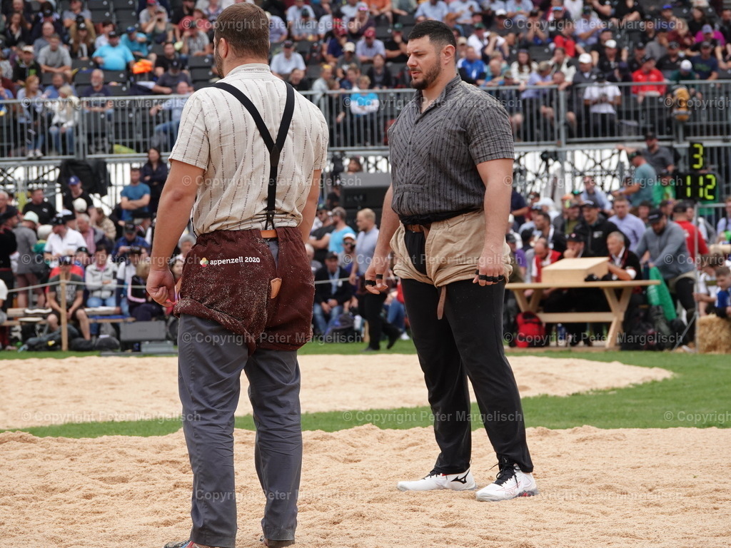 DSC08367 | Schwingen - Realisiert mit Pictrs.com