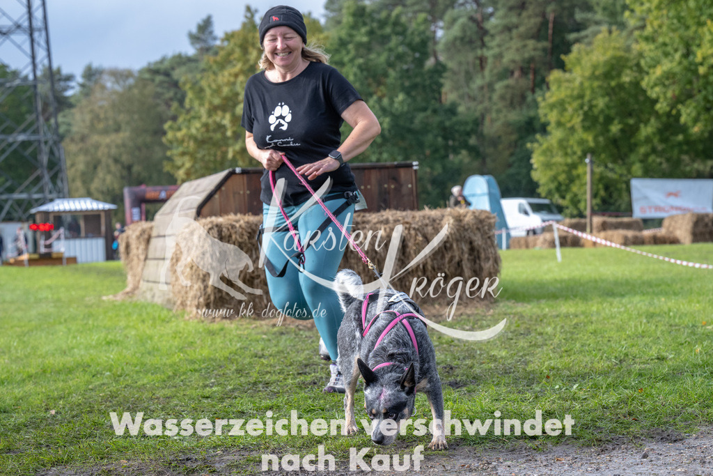 1417-94677 | kk-dogfotos