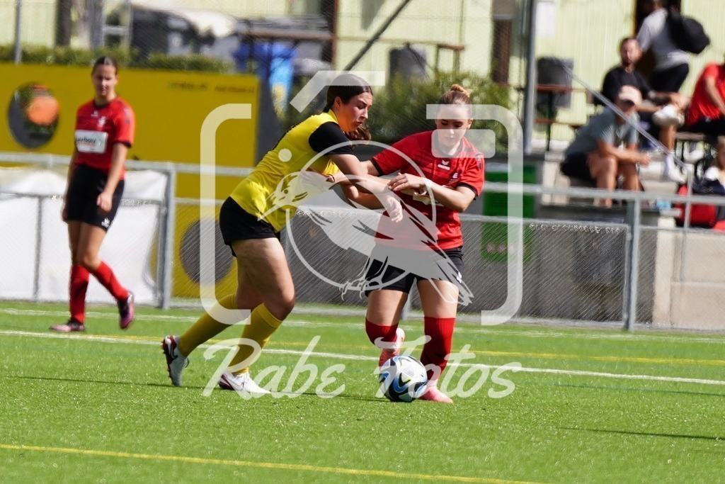 SON08429 | rabefotos