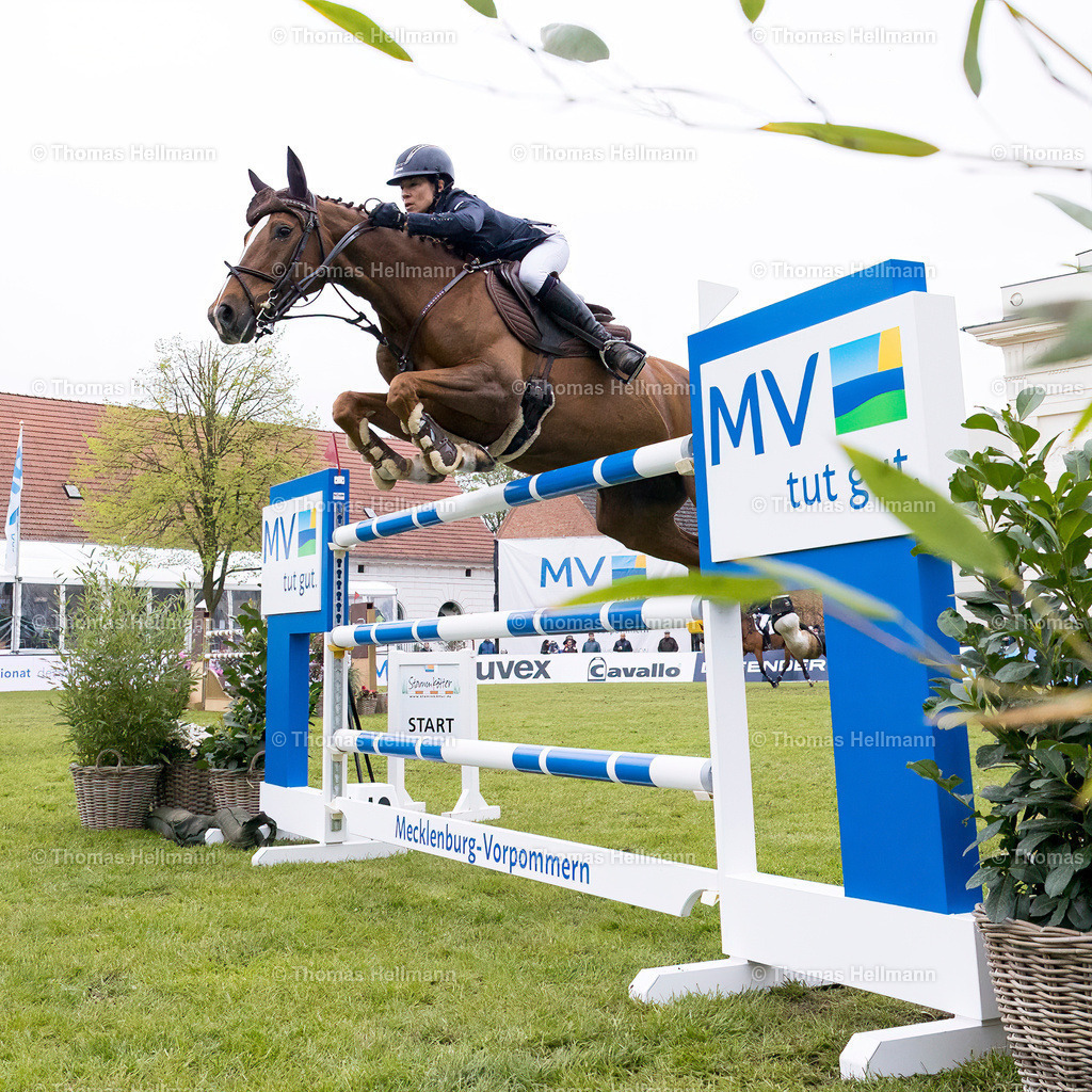 TH_256-Quick and Fly (GER) Mynou Diederichsmeier_7243 | Pferdefestival Redefin 2023 am 06.05.23 in Redefin, Landgestüt Redefin, Thomas Hellmann, _S4A7720