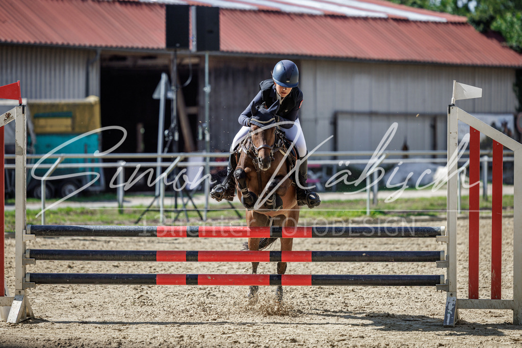 20260905-_3LI9496 | Tierfotografie Pferde, Hunde, Katzen, Haustiere.
Turnierfotografie Reitturniere, Reiten, Springreiten, Dressur in Hanau, dem Main-Kinzig-Kreis und dem Rhein-Main- Gebiet um Frankfurt