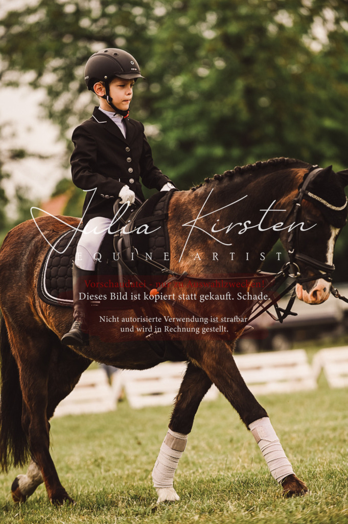 DSC_5304 | Pferde- und Turnierfotografie in Westsachsen. Pferdeportraits, Auftragszeichnungen und intuitive Kunst.