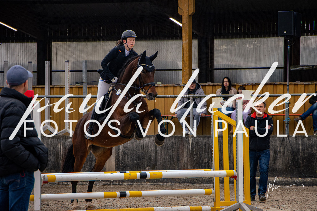 IMG_3716 | Erleben Sie dynamische Sport- und emotionale Tierfotografie in Süddeutschland mit Fotos von Paula. Spezialisiert auf Pferde- und Hundefotografie sowie Sportevents. Kontaktieren Sie mich für einzigartige und ausdrucksstarke Bilder Ihrer besonderen Momente. - Realisiert mit Pictrs.com