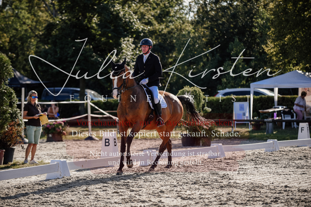 DSC_0612 | Pferde- und Turnierfotografie in Westsachsen. Pferdeportraits, Auftragszeichnungen und intuitive Kunst.