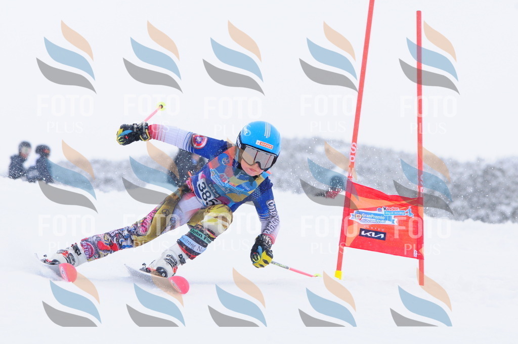 C4087 | holidayphoto