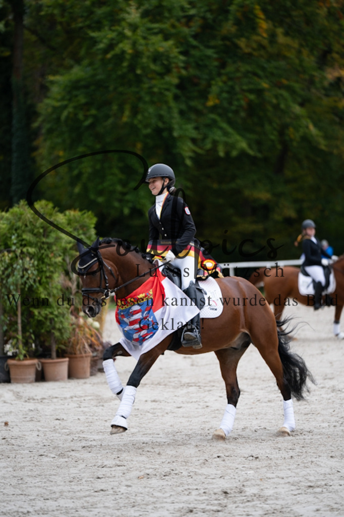 A7V01260 | Pferdefotograf