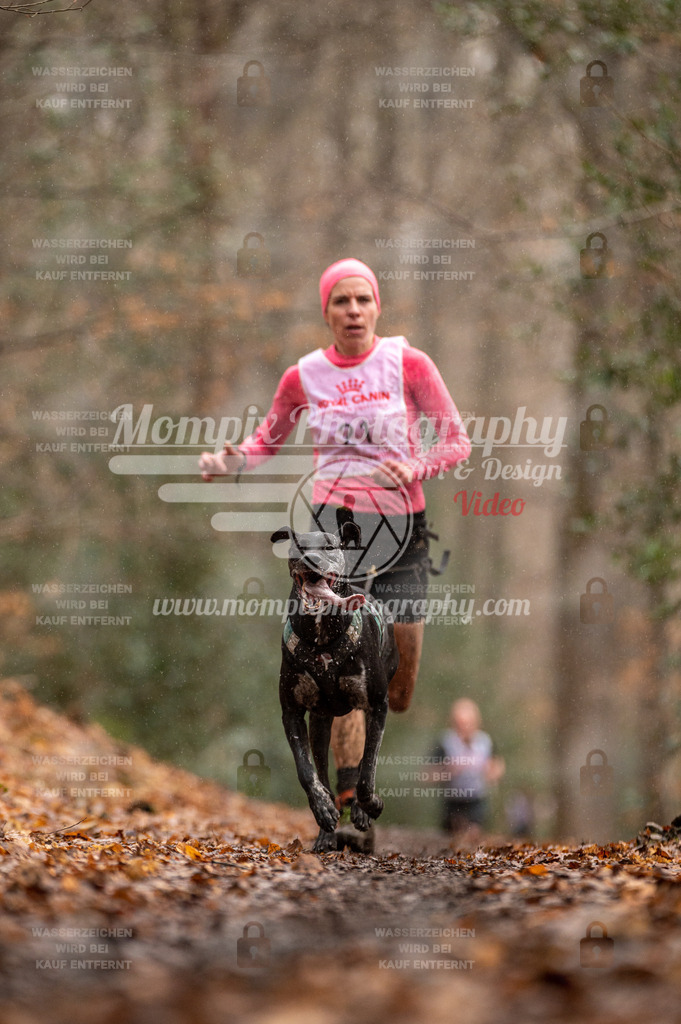 SPA_2023_DIM_CCL-26 | PayLife