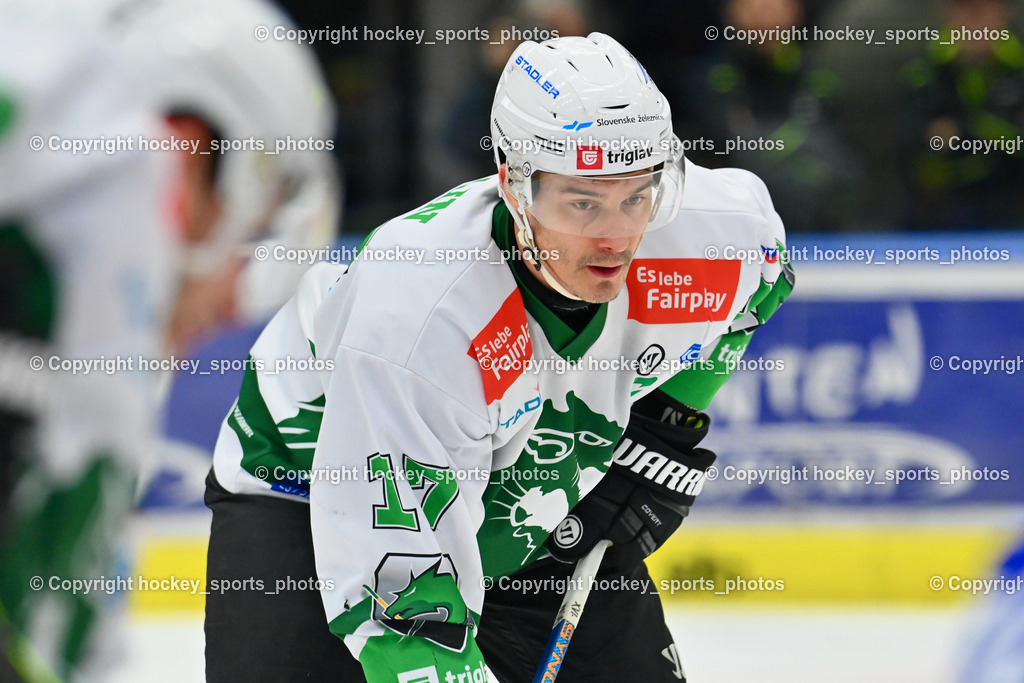 EC IDM Wärmepumpen VSV vs. HKSZ Olimpija 2.2.2024 | #17 Pavlin Ziga