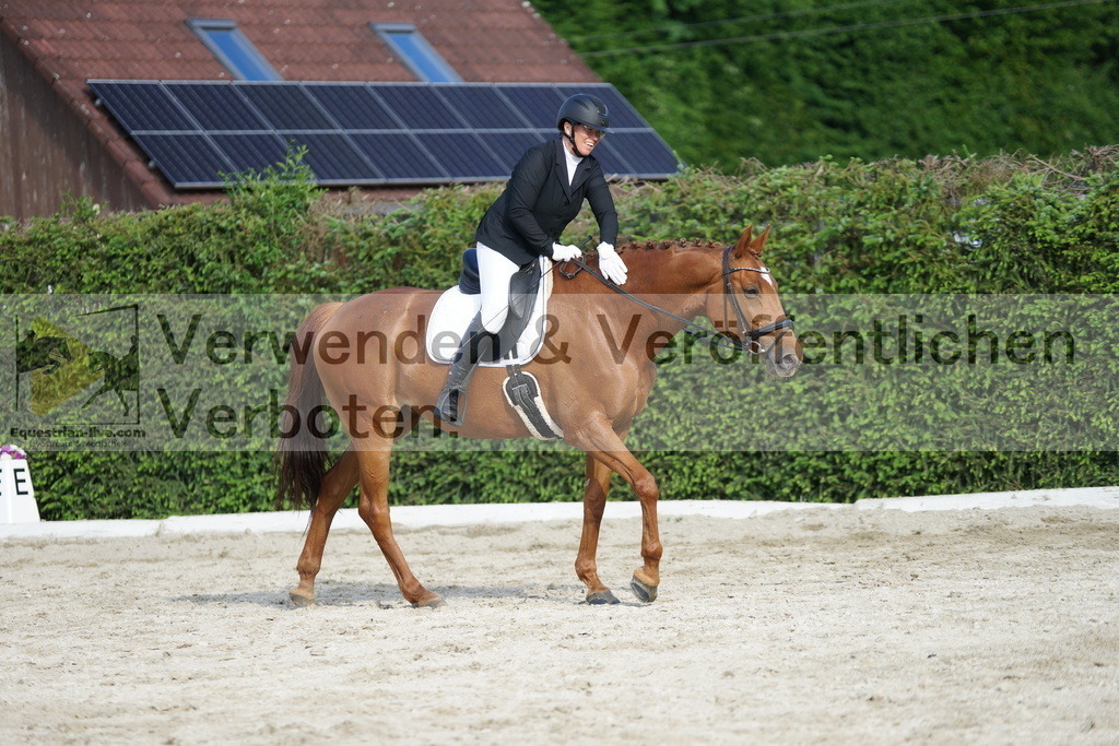 DSC05770 | equestrian-live-com