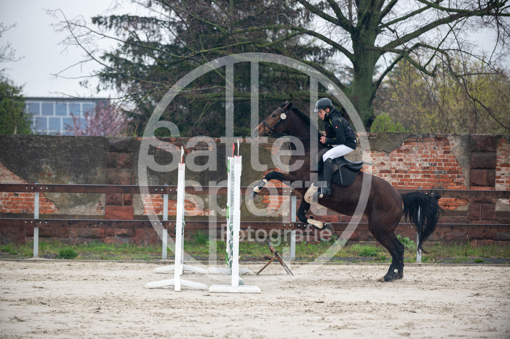 DSC_8839 | sattelsport - Realisiert mit Pictrs.com