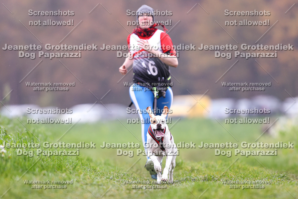 Dog Paparazzi - Visbeck 25 -827 | Dog Paparazzi Jeanette Grottendiek Fotografie & Videografie - Realisiert mit Pictrs.com