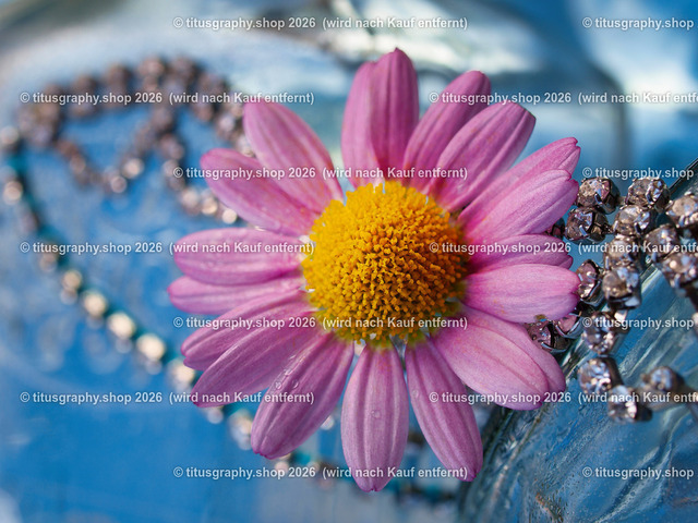 titusgraphy_P6020141-vz-ln | titusgraphy-shop: Geschenkideen mit Qualitätsfotos. titusgraphy-shop: gift ideas with quality photos. titusgraphy-shop: idées cadeaux avec photos de qualité.  - Realisiert mit Pictrs.com