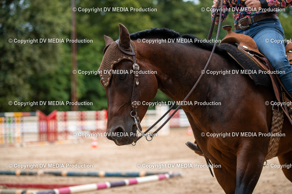 ZS2_8570 | dv-media-shop - Realisiert mit Pictrs.com