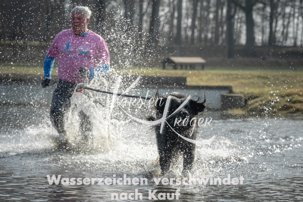 1019_ZZ96668 | kk-dogfotos