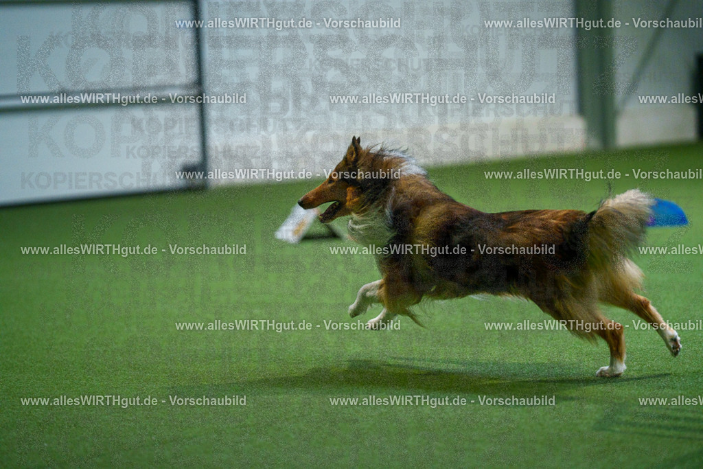 7R502132 | Professionelle Tierfotografie in Mönchengladbach von Daniel Wirth (allesWIRTHgut). Liebevolle & natürliche Bilder von Hunden & Katzen für unvergessliche Erinnerungen.